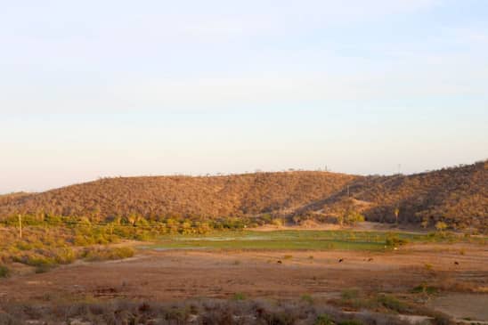 Slider image (5) Viraha Wellness Center